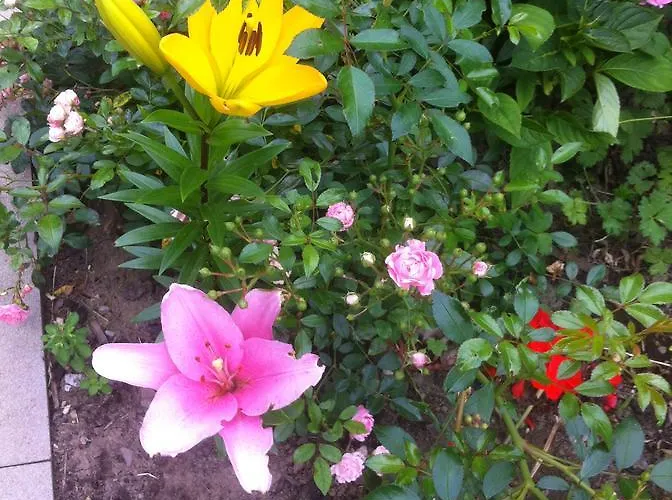 Das Kleine Altstadt Hotel *