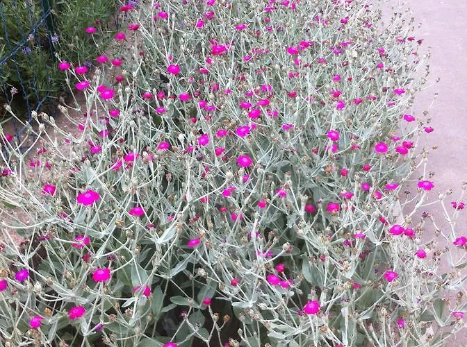 Hotel Das Kleine Altstadt