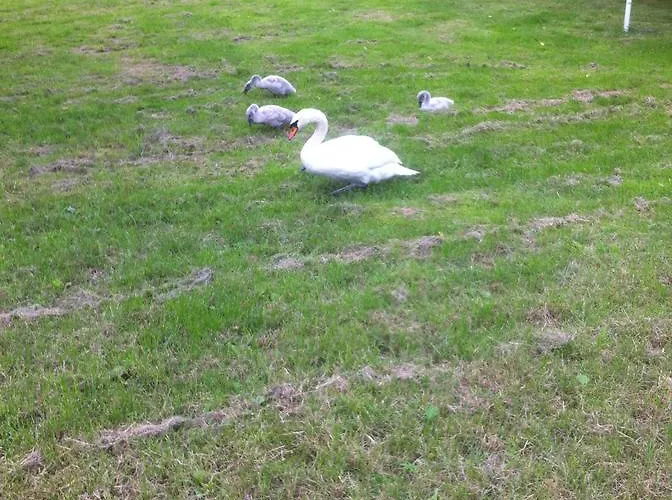 Das Kleine Altstadt Hotel *