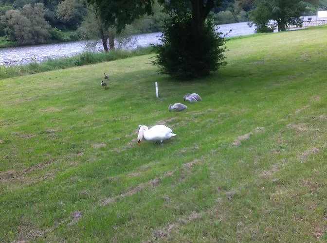 Das Kleine Altstadt Hotel